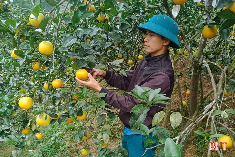 “Và cơn gió mang mùa đông tới”…