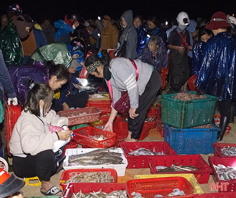 Ngư dân Cẩm Nhượng trúng đậm hải sản