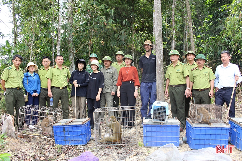 Vườn Quốc gia Vũ Quang - “ngôi nhà” của động vật hoang dã