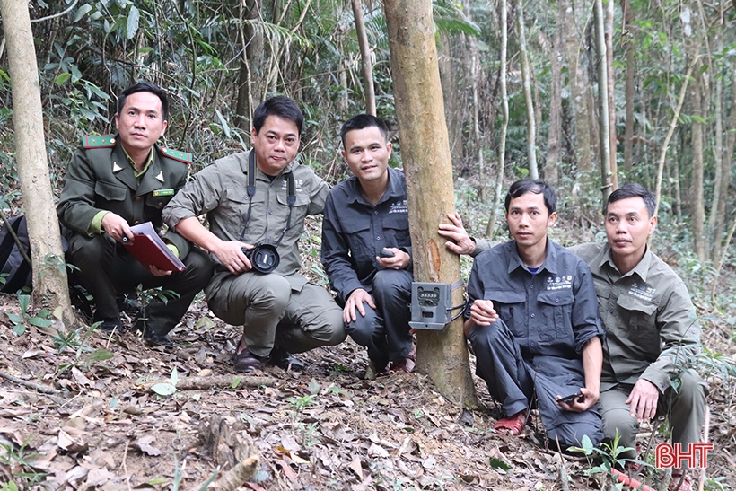 Vườn Quốc gia Vũ Quang - “ngôi nhà” của động vật hoang dã