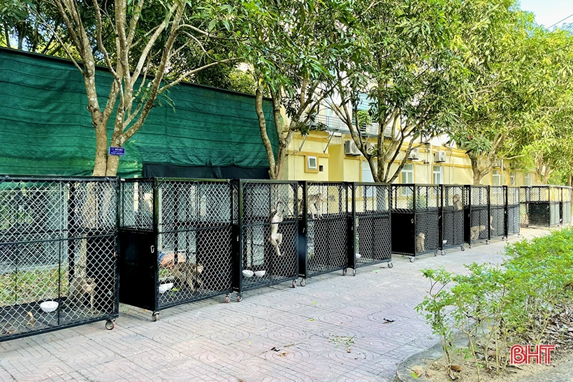 Vườn Quốc gia Vũ Quang - “ngôi nhà” của động vật hoang dã