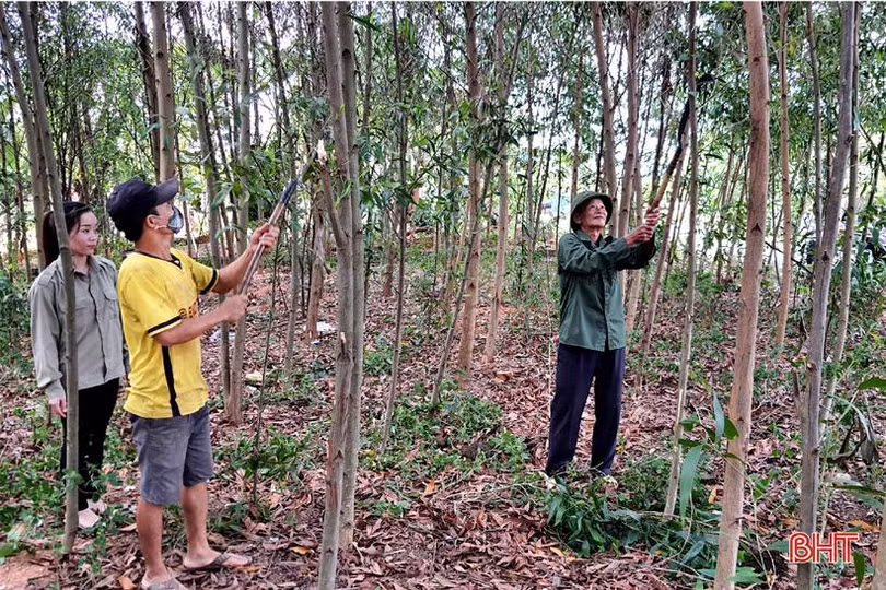 Khai thác tiềm năng 3 vùng sinh thái, nâng cao giá trị cho nông sản Kỳ Anh