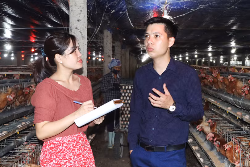 Nuôi gà siêu đẻ trứng, hợp tác xã ở Hà Tĩnh lãi gần 2 triệu đồng/ngày