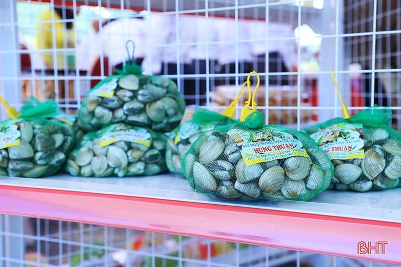 Sản phẩm OCOP, nông nghiệp tiêu biểu của Lộc Hà thu hút đại biểu bên lề đại hội
