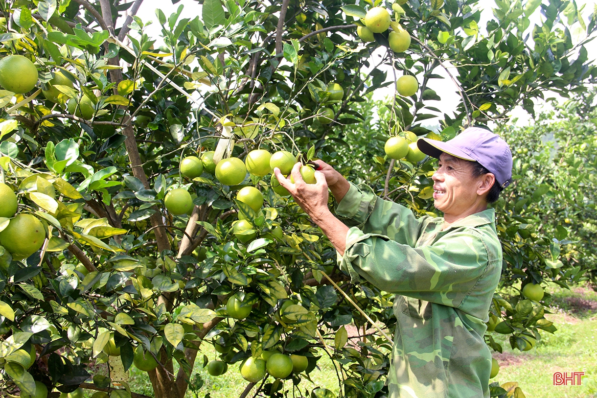 Can Lộc vững vàng vươn xa trên chặng đường mới