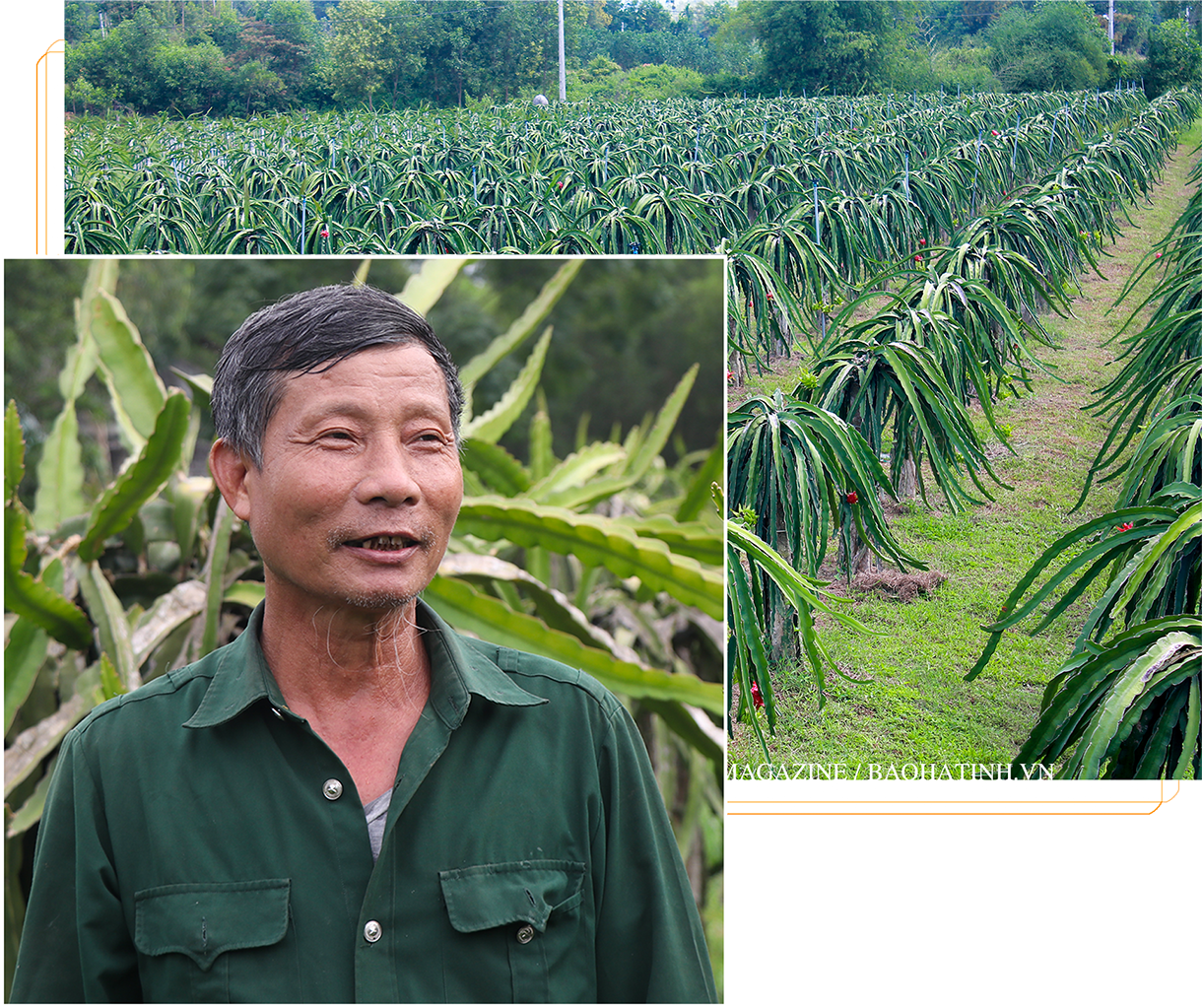 Can Lộc vững vàng vươn xa trên chặng đường mới