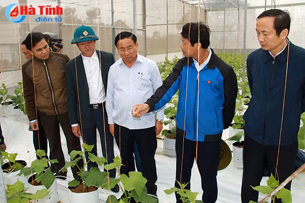 tao dau an tot dep ve ha tinh voi dai bieu trung uong dai su nuoc ngoai
