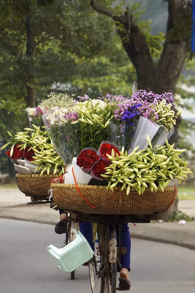 nao long voi mot ha noi dep diu dang cac mua hoa thang 3