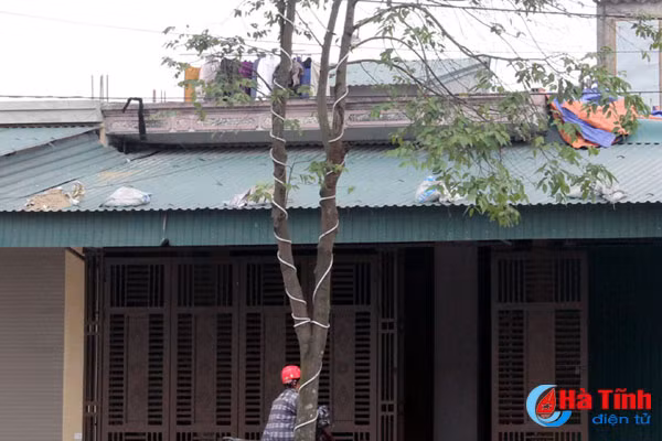 som thao go den trang tri tet de tranh su co ve dien