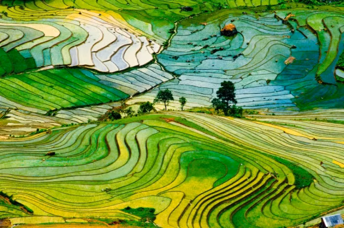 viet nam so huu 2 ruong bac thang dep nhat the gioi