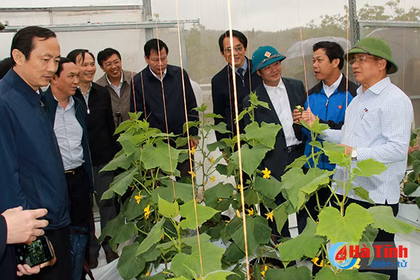 tao dau an tot dep ve ha tinh voi dai bieu trung uong dai su nuoc ngoai