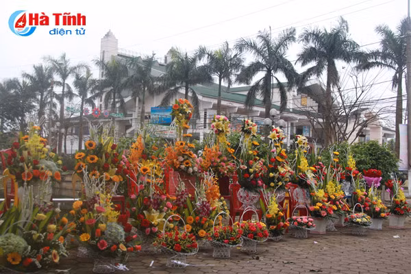 thanh sen ngap tran sac hoa ngay 8 3