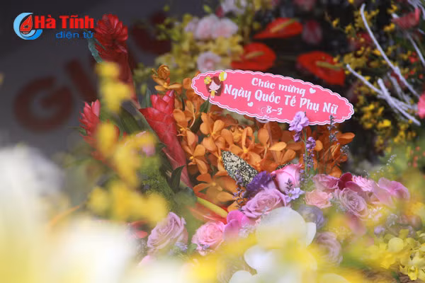 thanh sen ngap tran sac hoa ngay 8 3