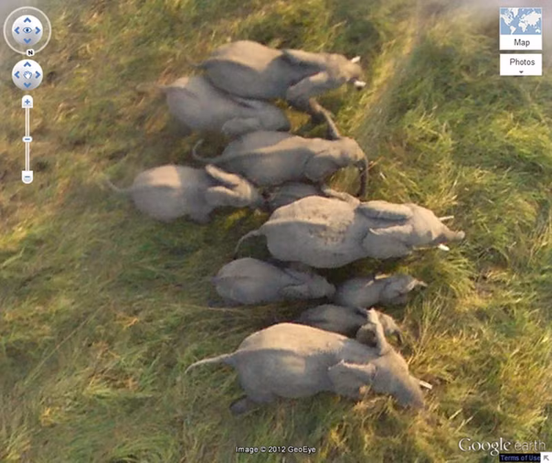 24 anh dam bao doc la tu google earth