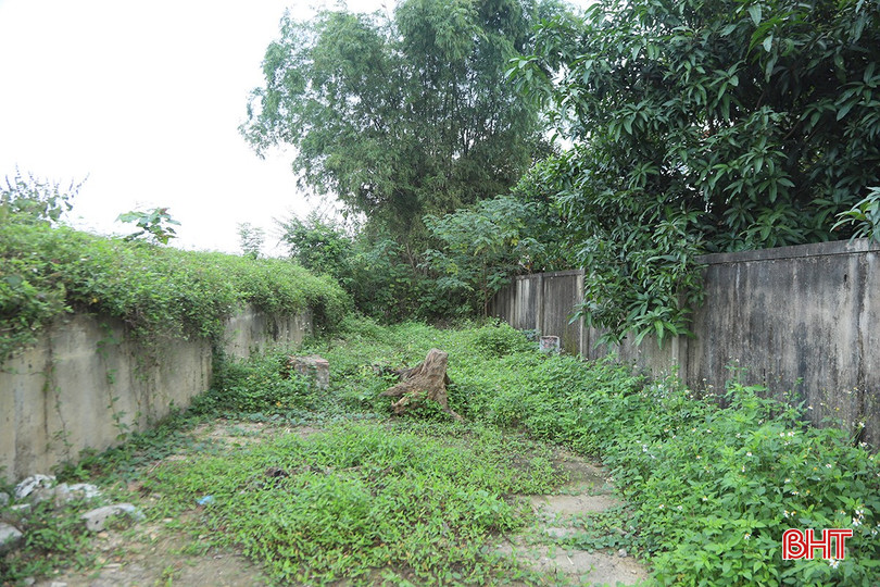 bqbht_br_4-5234.jpg