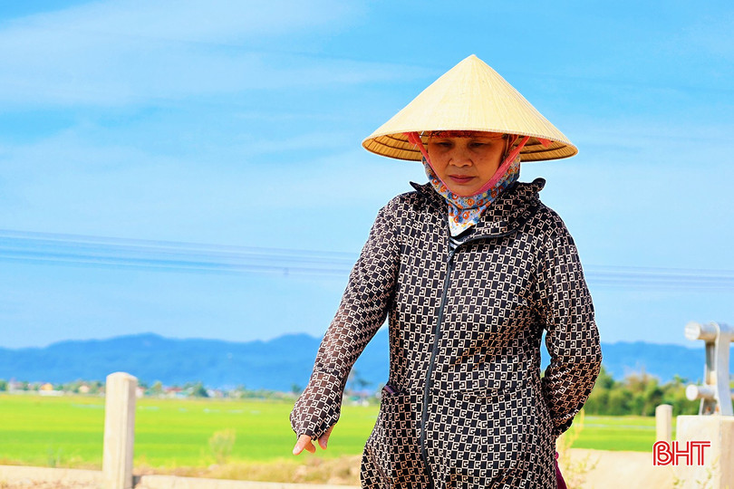 Bà Lê Thị Hòa - Trưởng thôn Tân Xuyên (xã Đức Thọ) cho biết: "Đầu vụ sản xuất lúa hè thu năm 2026, nhiều diện tích lúa tại xứ đồng của hai thôn Tân Xuyên và Tân Mỹ gặp khó khăn về nguồn nước tưới. Trước thực trạng đó, địa phương đã tiến hành khắc phục bằng cách xây dựng tuyến mương tạm để dẫn nước từ kênh chính vào đồng ruộng, đáp ứng nhu cầu sản xuất trước mắt. Tuy nhiên, đây chỉ là giải pháp tình thế. Về lâu dài, cần được đầu tư đồng bộ hệ thống kênh dẫn và các công trình điều tiết nước từ cống T21 vào nội đồng thì mới bảo đảm cấp nước ổn định, phát huy hiệu quả của công trình".