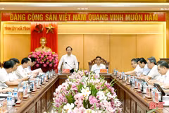 Ban Thường vụ Tỉnh ủy, Ban Chấp hành Đảng bộ tỉnh cho ý kiến nhiều nội dung quan trọng