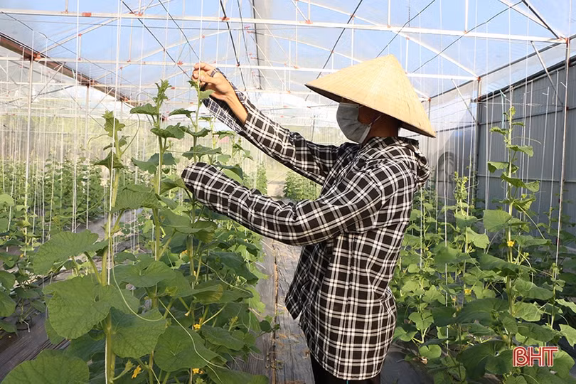 Linh hoạt trong chỉ đạo, điều hành, kinh tế - xã hội TP Hà Tĩnh đạt nhiều kết quả khả quan