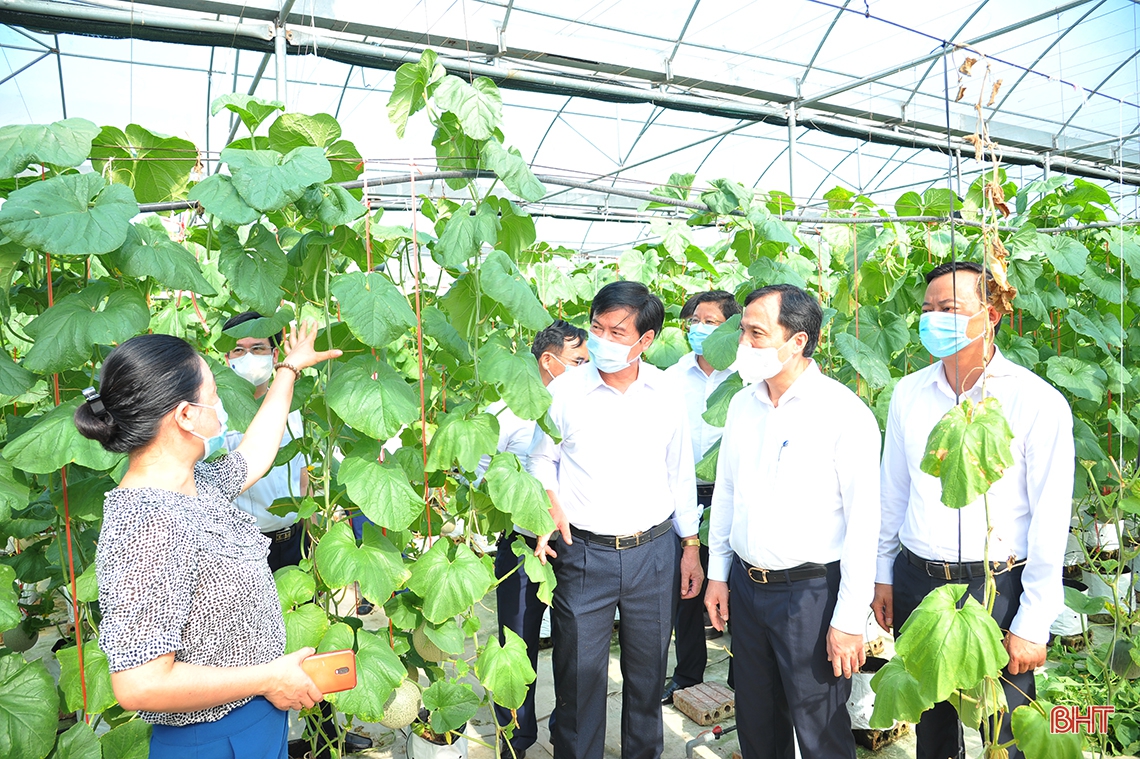 Ngành khoa học và công nghệ đóng góp lớn vào sự phát triển của Hà Tĩnh