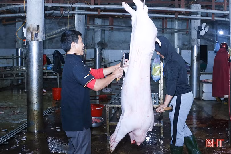 Kiểm tra đột xuất lò mổ gia súc tập trung tại TP Hà Tĩnh