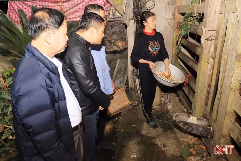 Mùa “hái lộc” nhung đầu xuân, người dân Hương Sơn ước thu khoảng 120 tỷ đồng