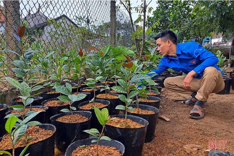 Nam thanh niên ở Nghi Xuân khởi nghiệp thành công từ trồng hoa, cây cảnh