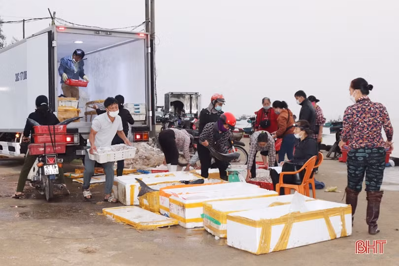 Hải sản Hà Tĩnh “đắt khách” những ngày cận tết