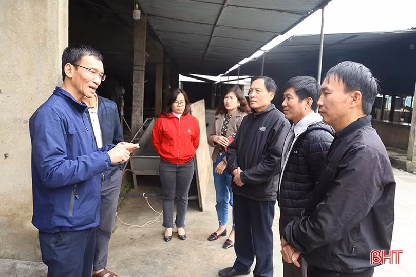 Kiểm soát quy trình giết mổ, đảm bảo chất lượng thịt gia súc đưa ra thị trường dịp cuối năm ở Hà Tĩnh