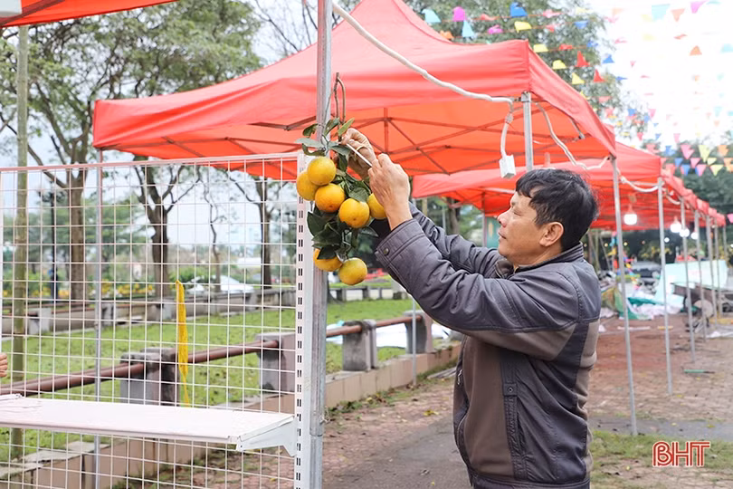 Hoàn tất chuẩn bị cho Lễ hội Cam và các sản phẩm nông nghiệp Hà Tĩnh