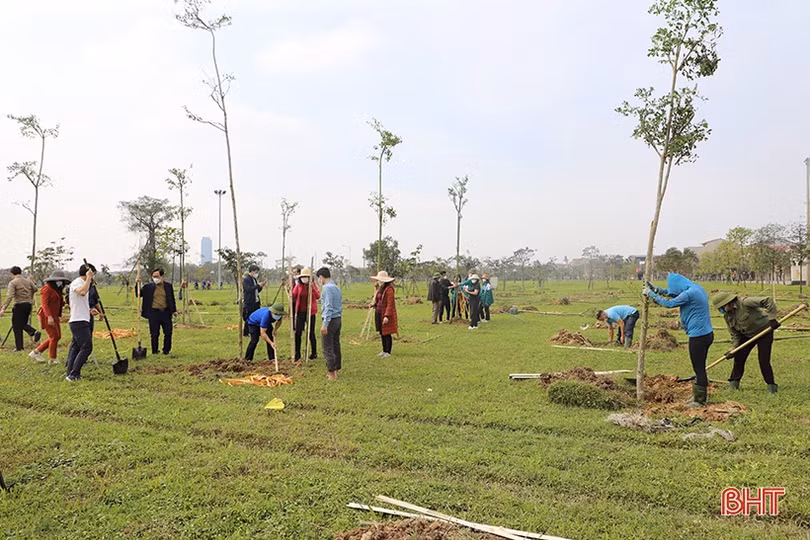 Hà Tĩnh hiện thực hóa đề án trồng 1 tỷ cây xanh của Chính phủ