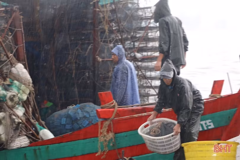 Vượt mưa rét vươn khơi, ngư dân Hà Tĩnh kiếm nhiều “lộc biển”
