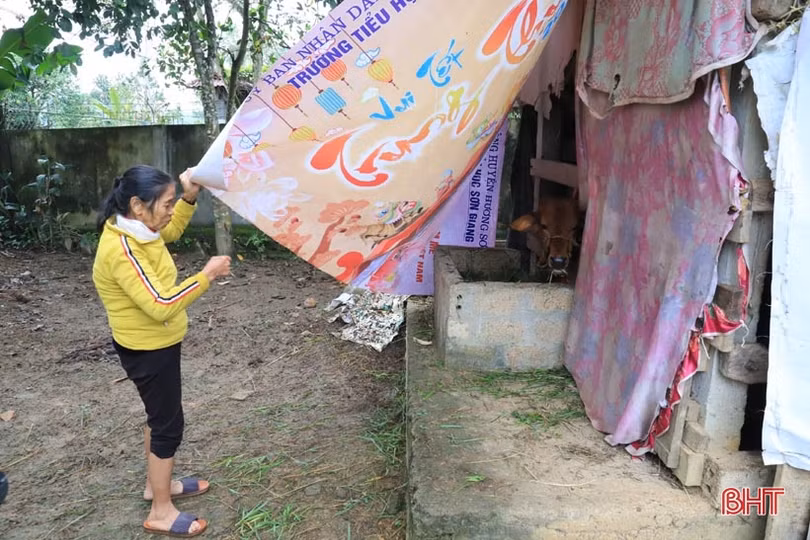 Nông dân Hương Sơn phòng đói, rét cho đàn vật nuôi