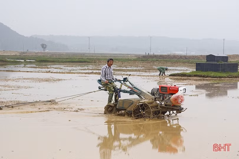 Tháng 12 rộn ràng về đích...