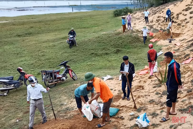 Lộc Hà hướng tới mục tiêu hơn 20 nghìn tấn lương thực, lạc vụ xuân