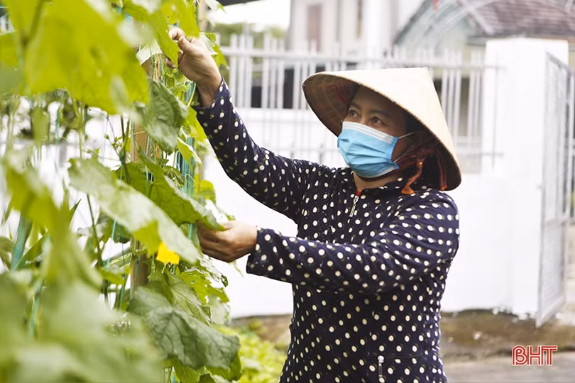 Tháng 12 rộn ràng về đích...