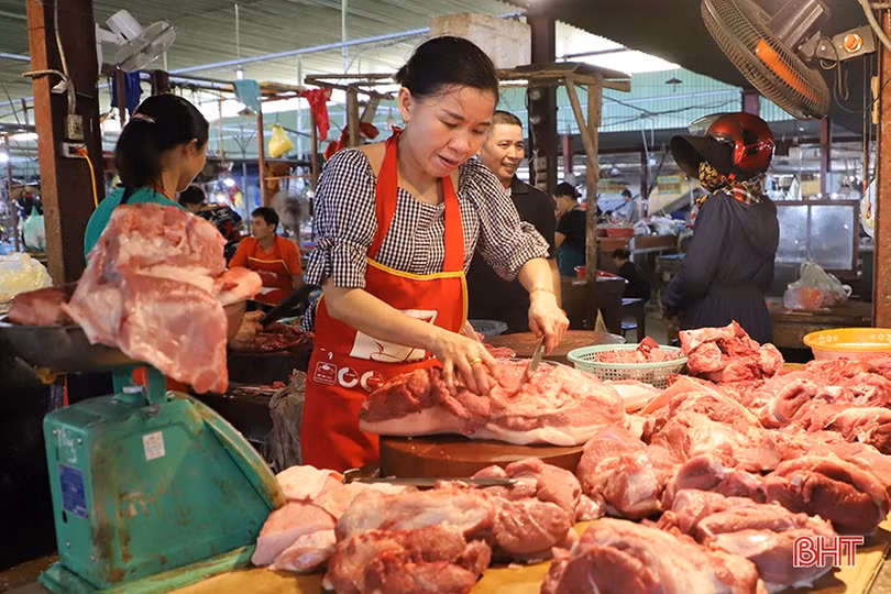 Tiêm phòng gia súc, gia cầm tại Hà Tĩnh: Tỷ lệ đạt thấp, vì sao?
