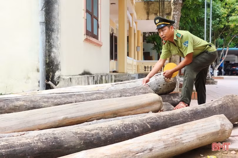 Vũ Quang: Xử lý 7 vụ vi phạm lâm luật, thu nộp ngân sách nhà nước 69 triệu đồng