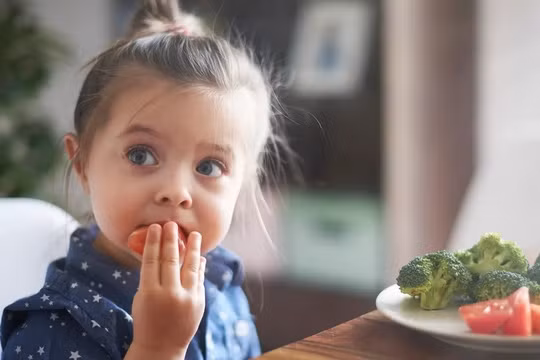 Thay đổi tông màu của bát đĩa có thể cải thiện tình trạng kén ăn của trẻ
