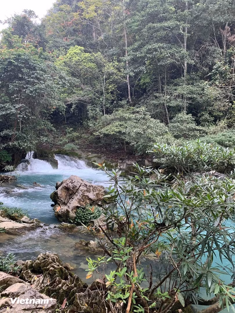 Suối nước trong xanh trong Khu Di tích Pác Bó. (Nguồn: Vietnam+)