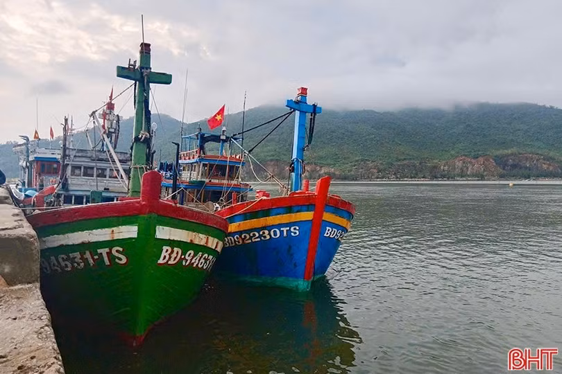 image-1.jpg