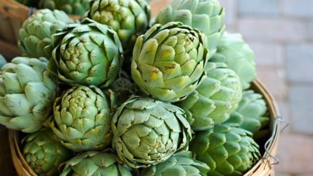 Atisô giàu prebiotic chất lượng cao có thể làm giảm nguy cơ căng thẳng, lo lắng.