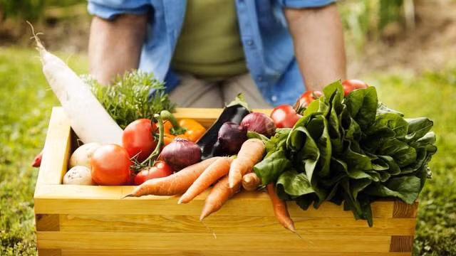 Rau quả cần có biện pháp bảo quản ngay sau thu hoạch.