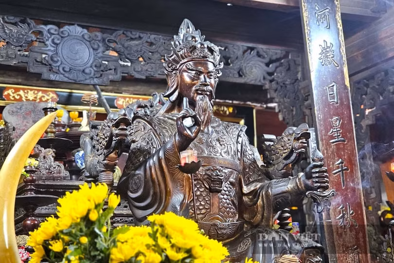 nguyen-xi-tuong-dan-viet.png