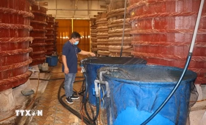 Sản xuất nước mắm Phú Quốc. Ảnh: Lê Huy Hải/TTXVN.