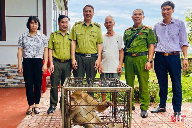 Ông Nguyễn Tùng Lâm bàn giao cá thể khỉ cho lực lượng chức năng.