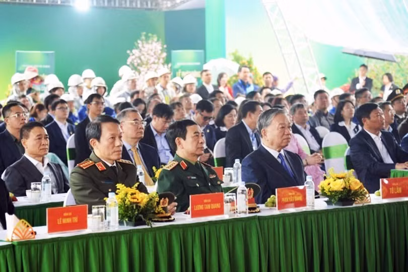 tet-trong-cay-22-5766.jpg