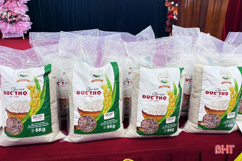bqbht_br_khong-co-tieu-de.jpg