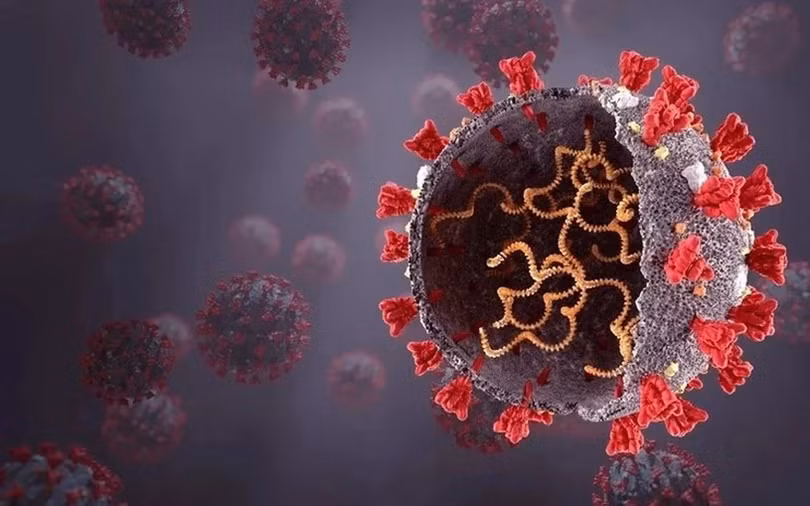 virus-sars-cov-2png.png