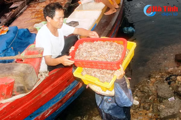 ngu dan lien ket sam tau lon vuon khoi