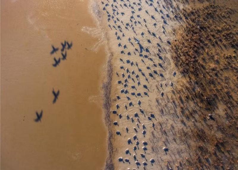 thien nhien vua gan vua xa trong cuoc thi anh national geographic